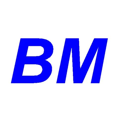 BM ingegneria